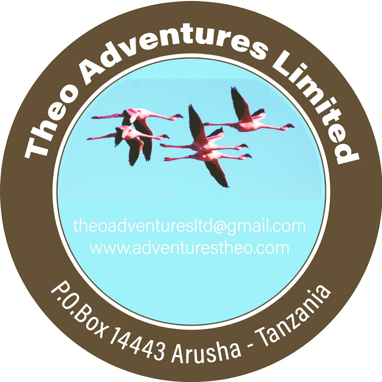 Theo Adventures team portrait