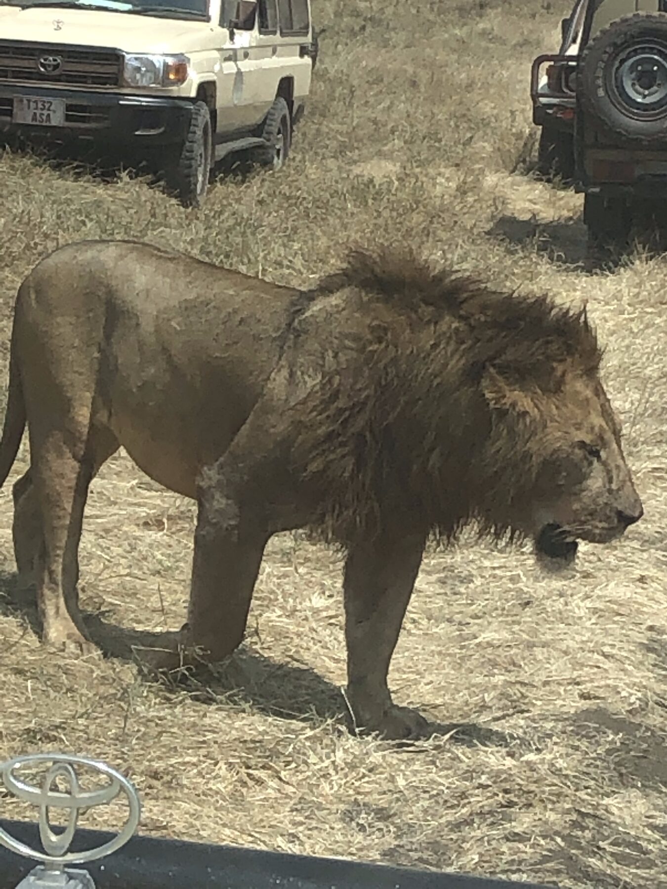 Theo Adventures gallery image 2