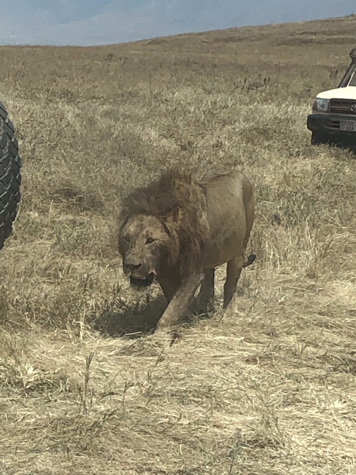 Theo Adventures gallery image 3