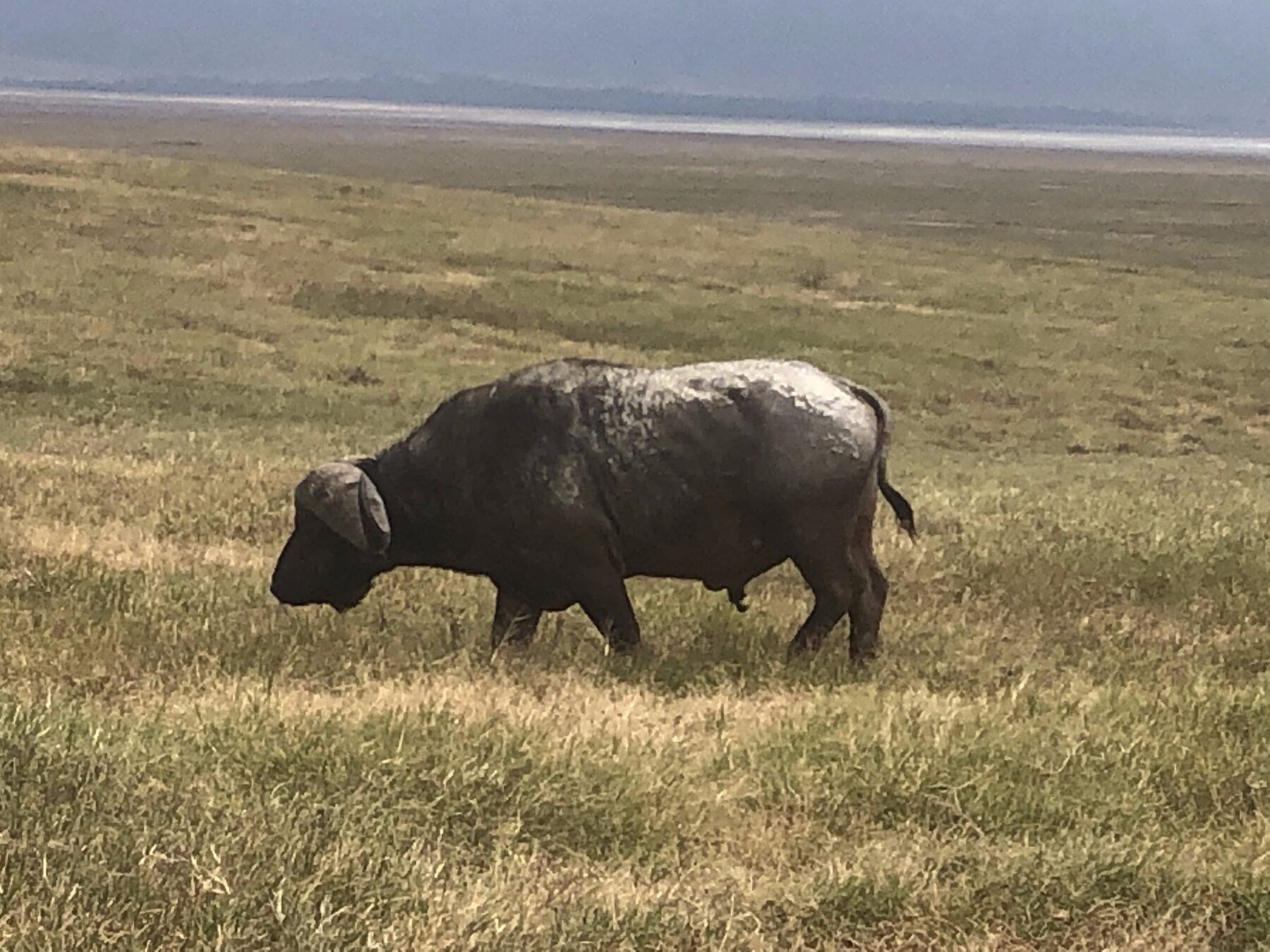 Theo Adventures gallery image 6