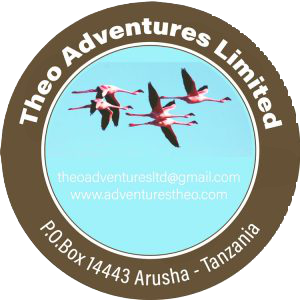 Theo Adventures Limited logo