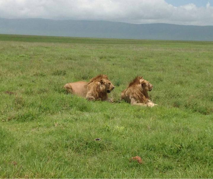 3 Days to Ngorongoro Crater Tours
